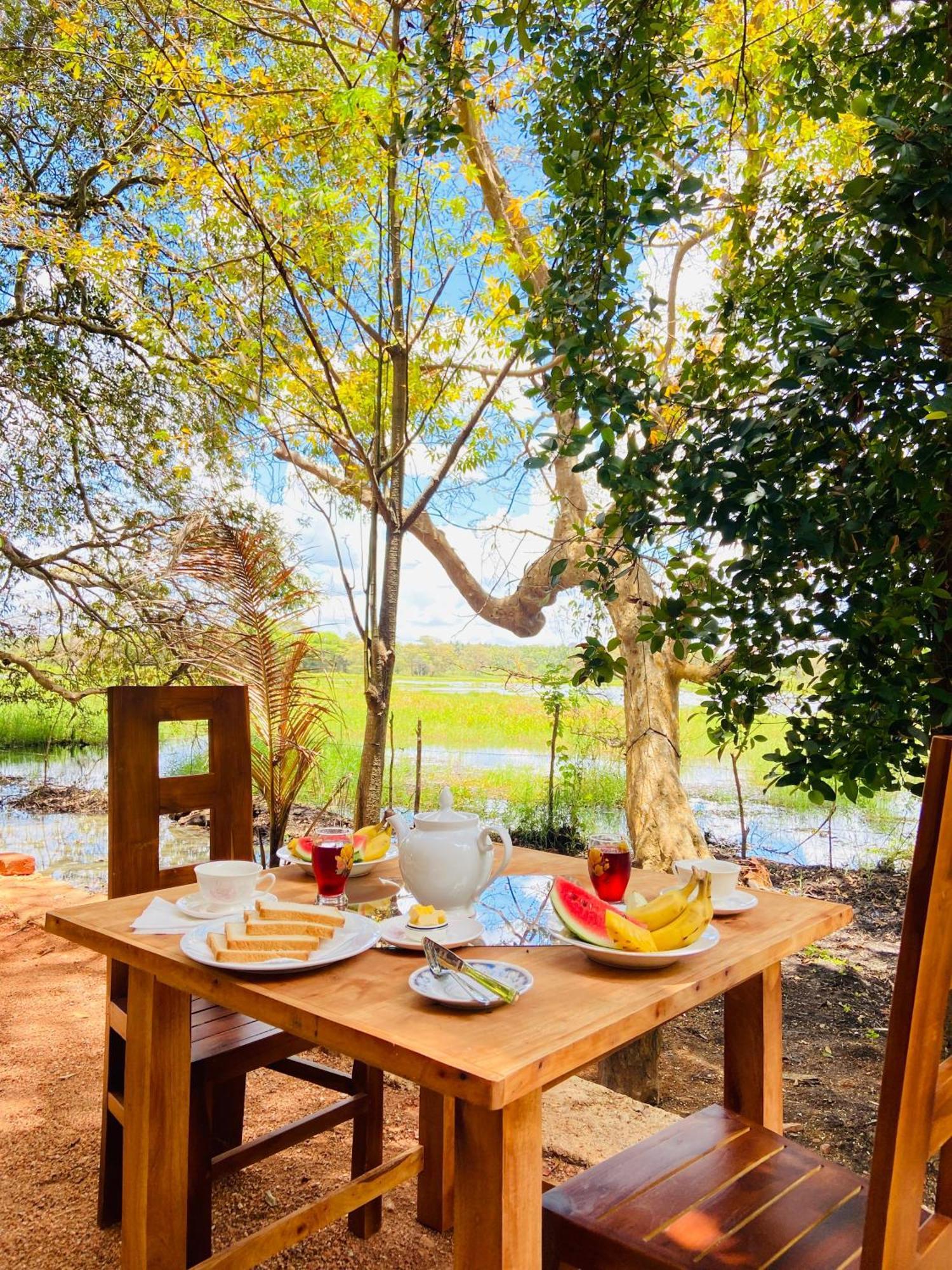 Nature Lotus Villa Дамбулла Экстерьер фото