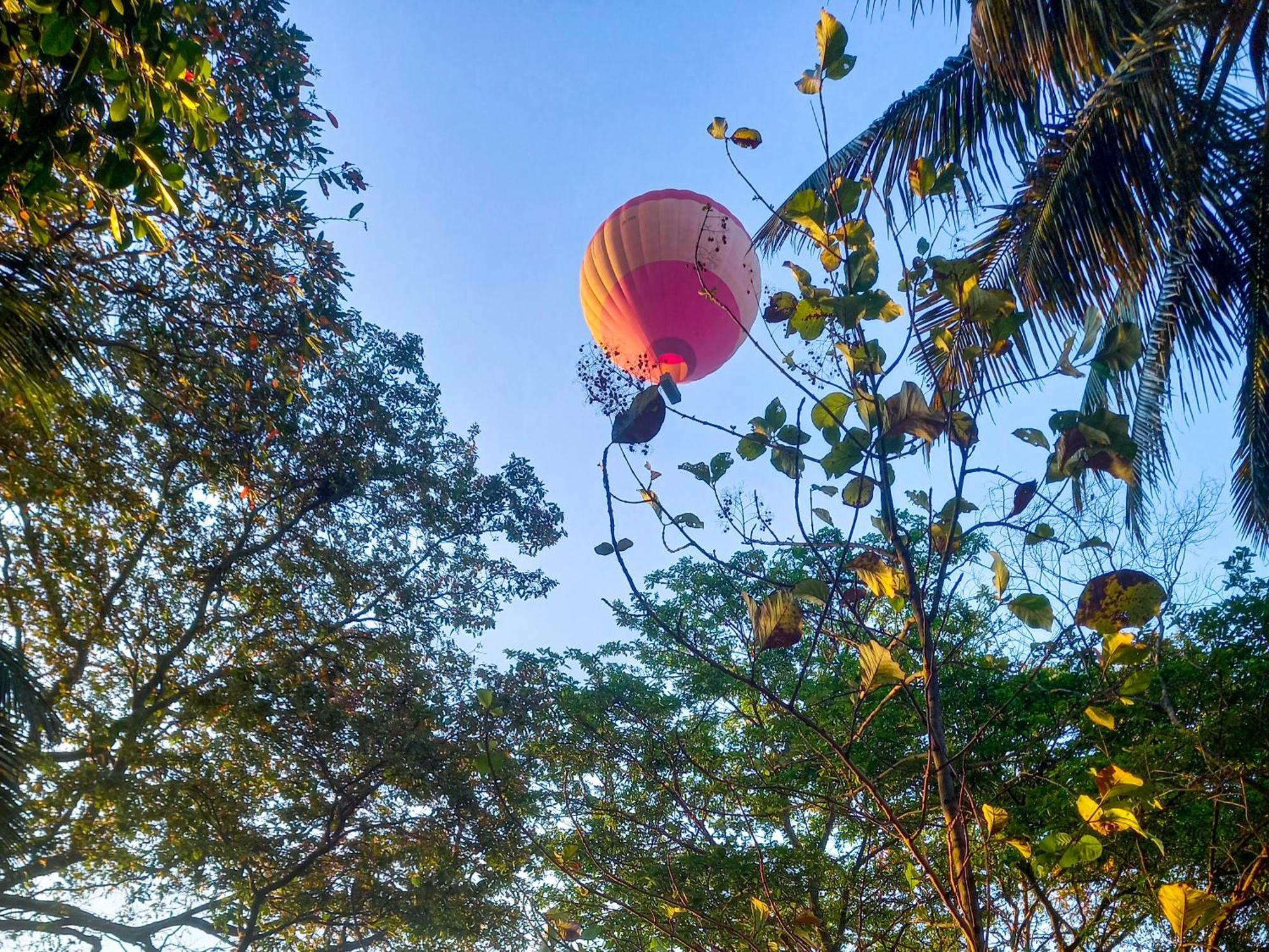 Nature Lotus Villa Дамбулла Экстерьер фото