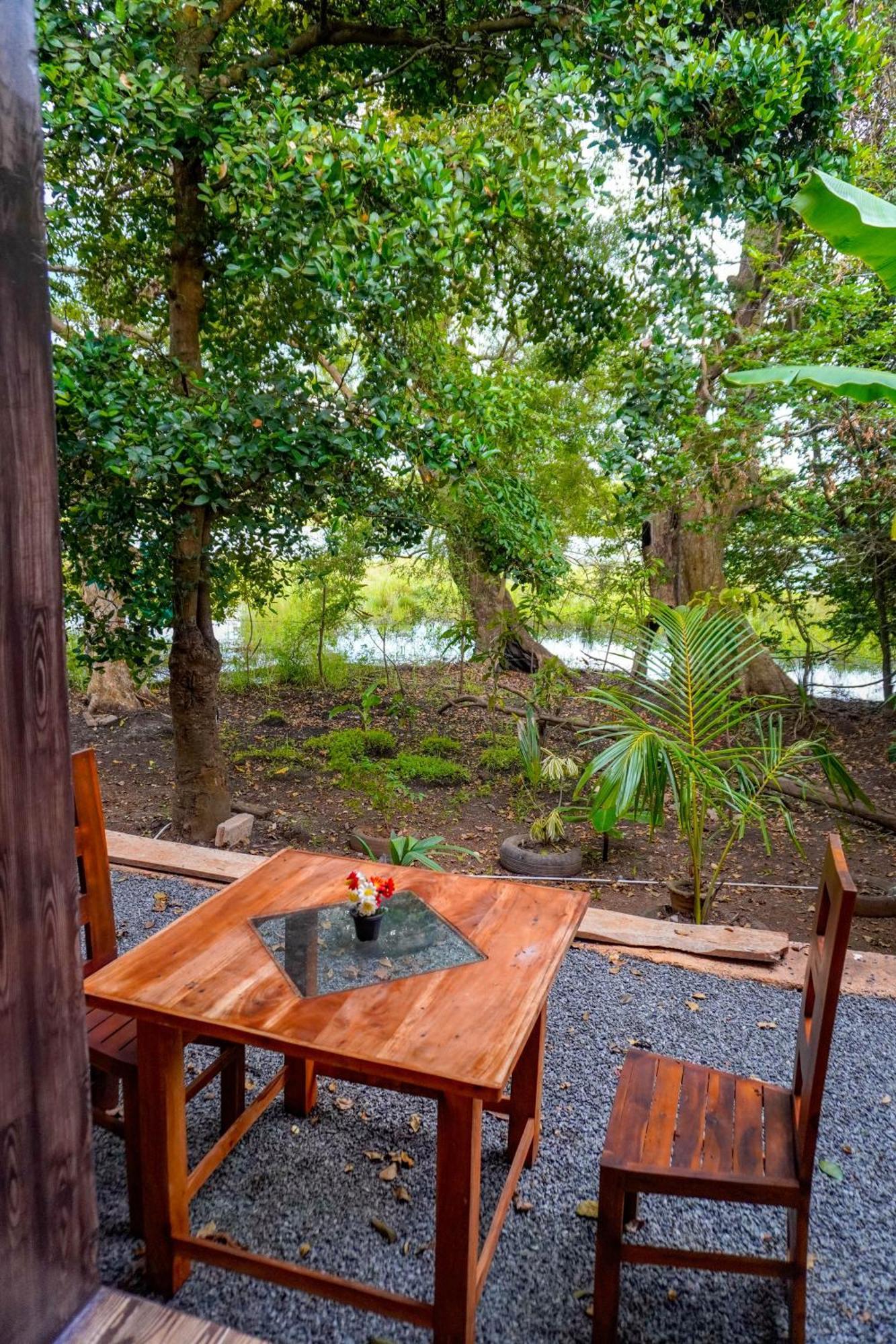 Nature Lotus Villa Дамбулла Экстерьер фото