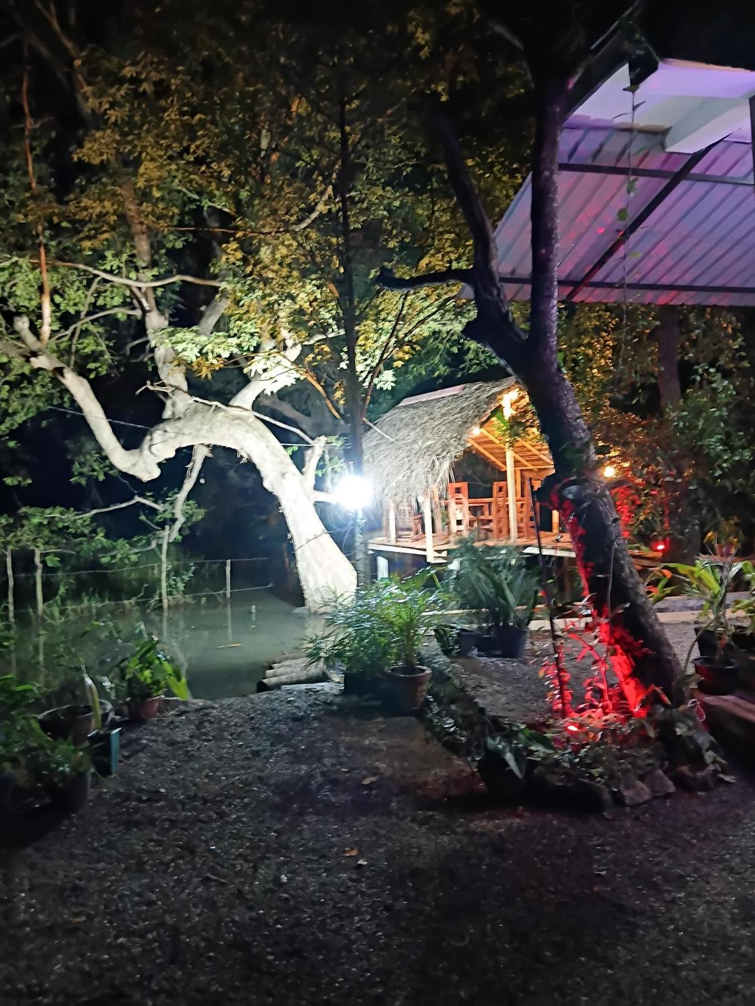 Nature Lotus Villa Дамбулла Экстерьер фото